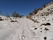 32 Passaggio alla Malga Cucco (1510 m) 